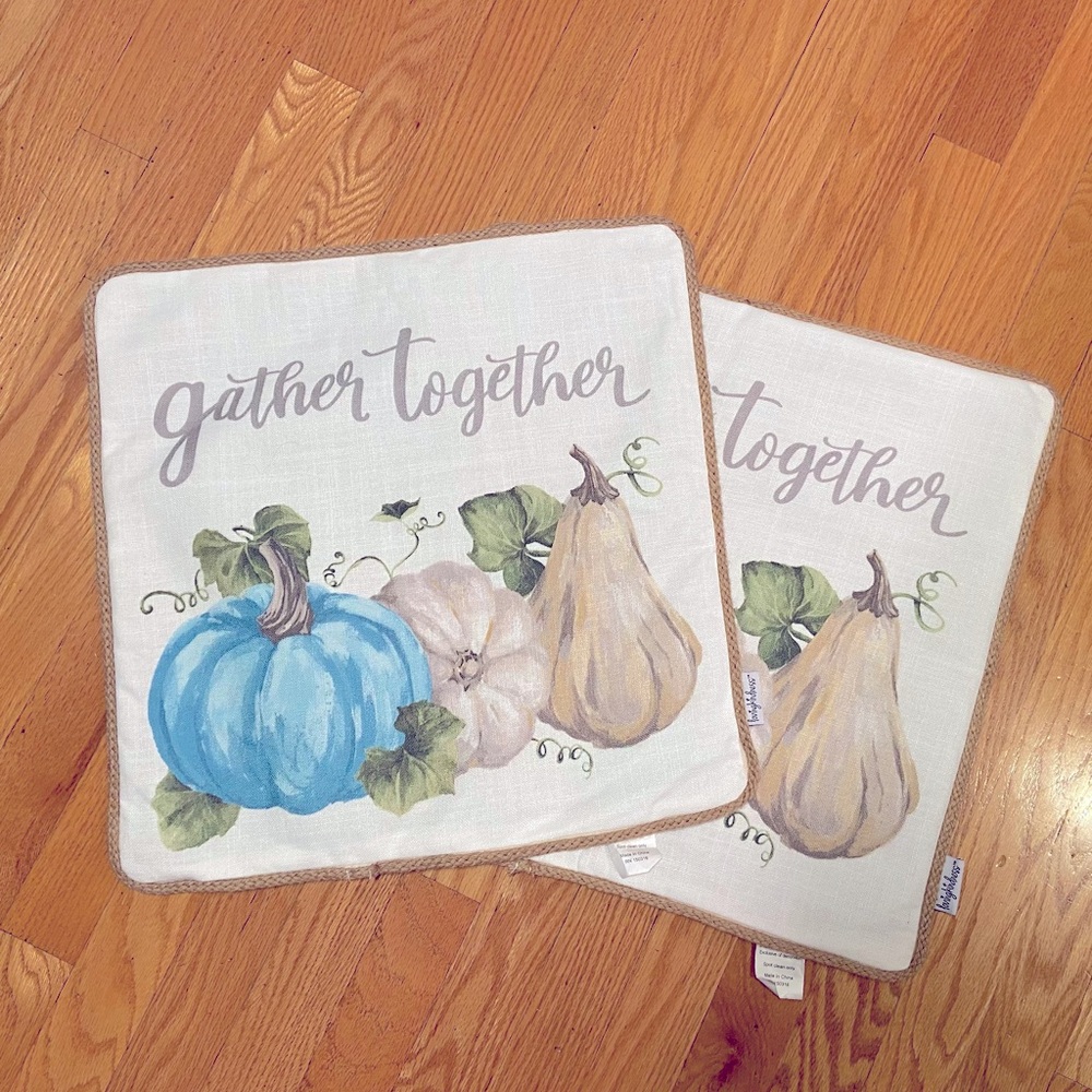 🍁Set of two Fall pillow covers